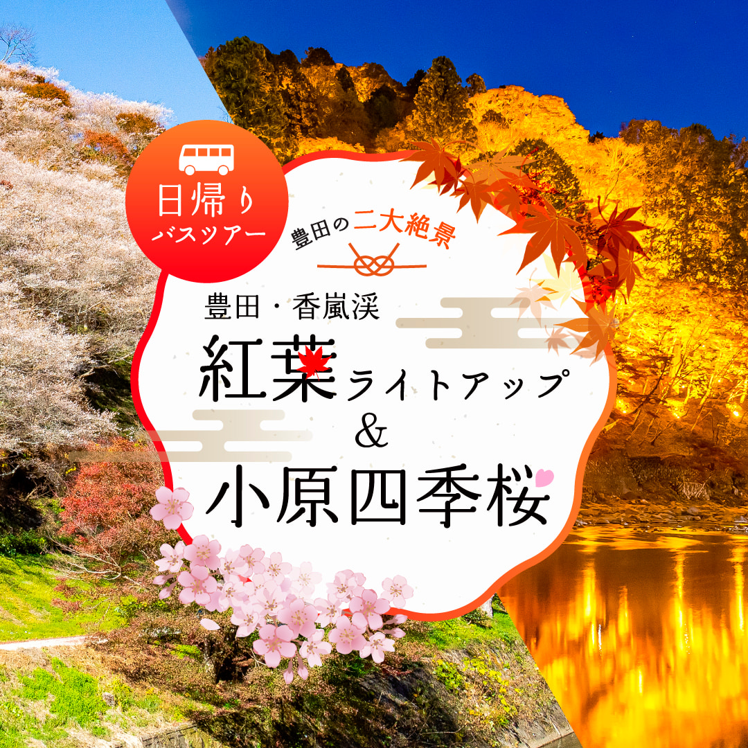 豊田・香嵐渓紅葉ライトアップ＆小原豊田の四季桜