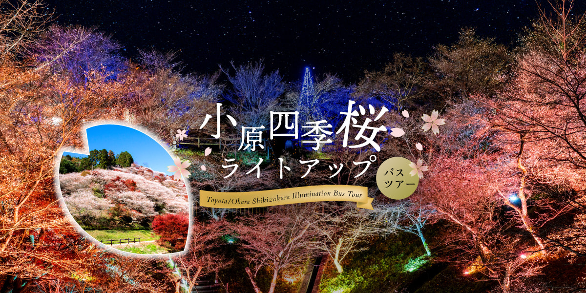 小原四季桜ライトアップバスツアー詳細はこちら