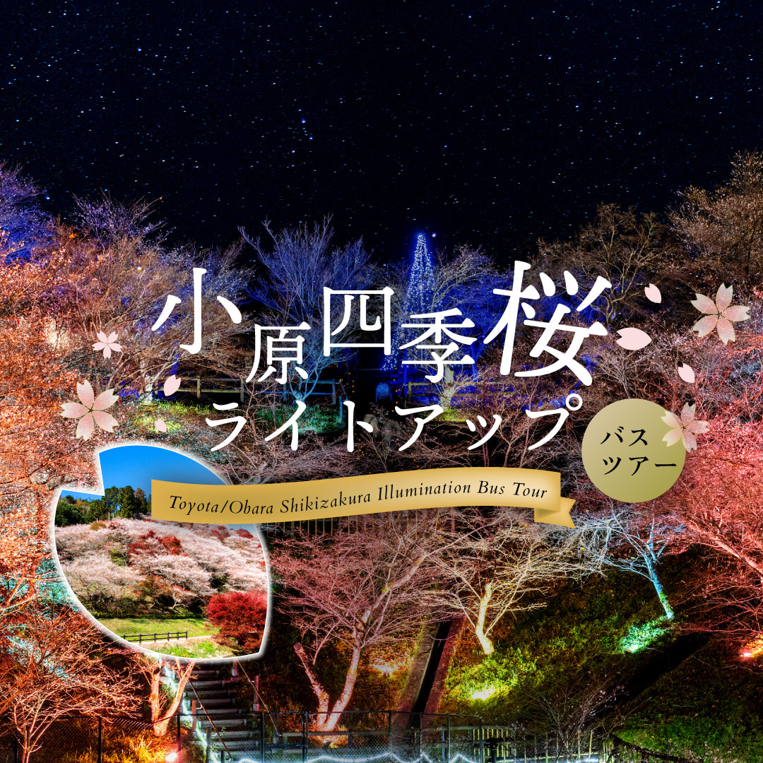 豊田・香嵐渓紅葉ライトアップ＆小原豊田の四季桜