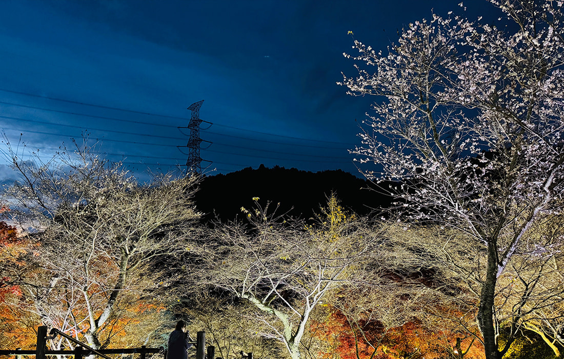 Image of Obara Fureai Park illumination
