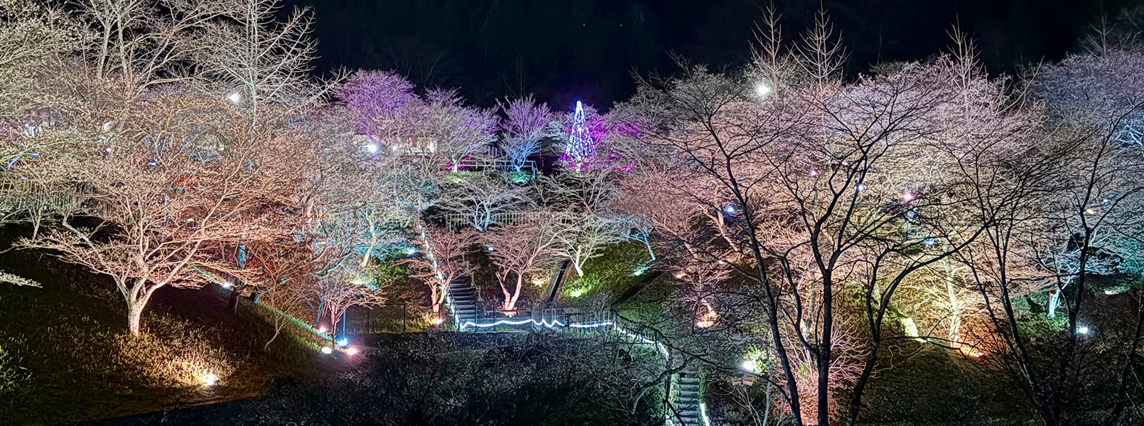 Image of Obara Fureai Park illumination