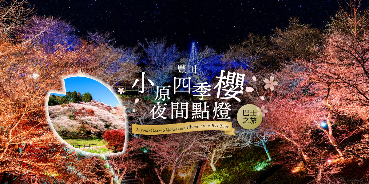豐田・小原四季櫻夜間點燈英語導遊隨團巴士之旅