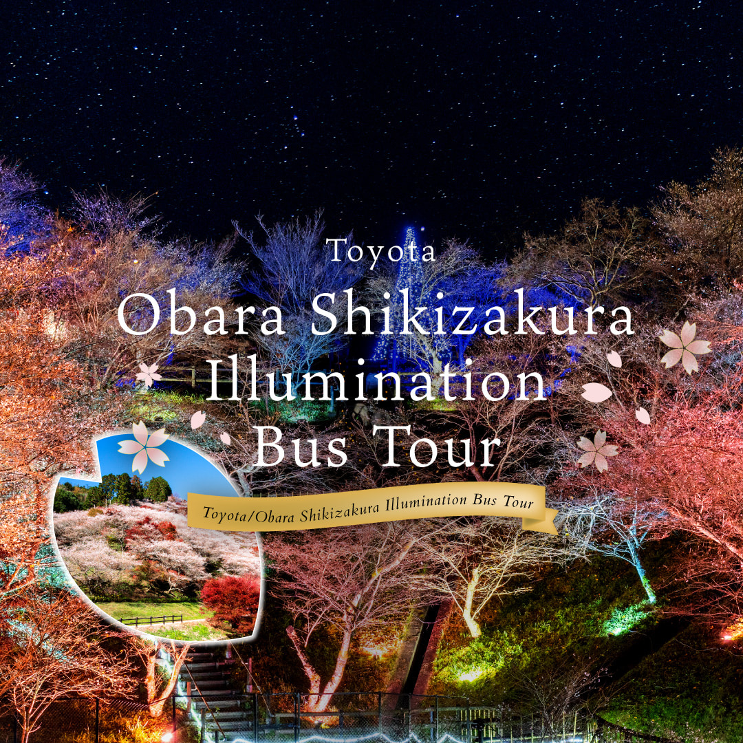 Korankei Gorge,Toyota Illuminated Autumn leaves&Obara's Four-Season Cherry Blossoms