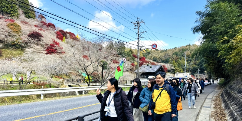 Senmi Shikizakura no Sato Park