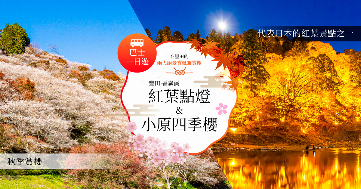 豐田・香嵐溪紅葉夜間點燈 & 小原四季櫻巴士一日遊