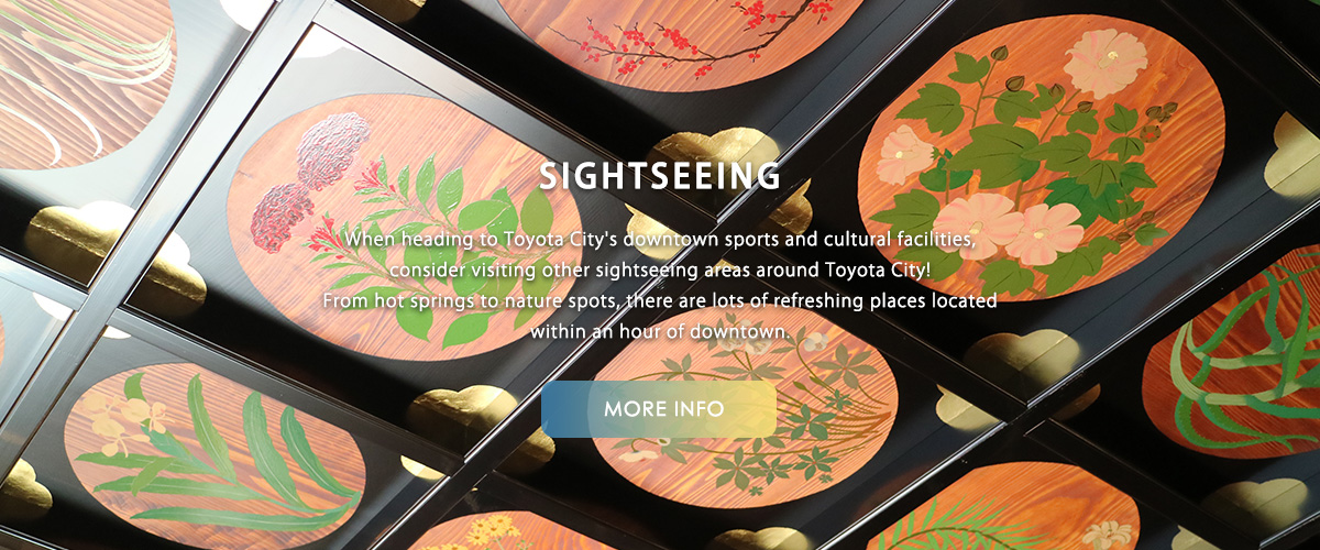 Local Sightseeing Guide