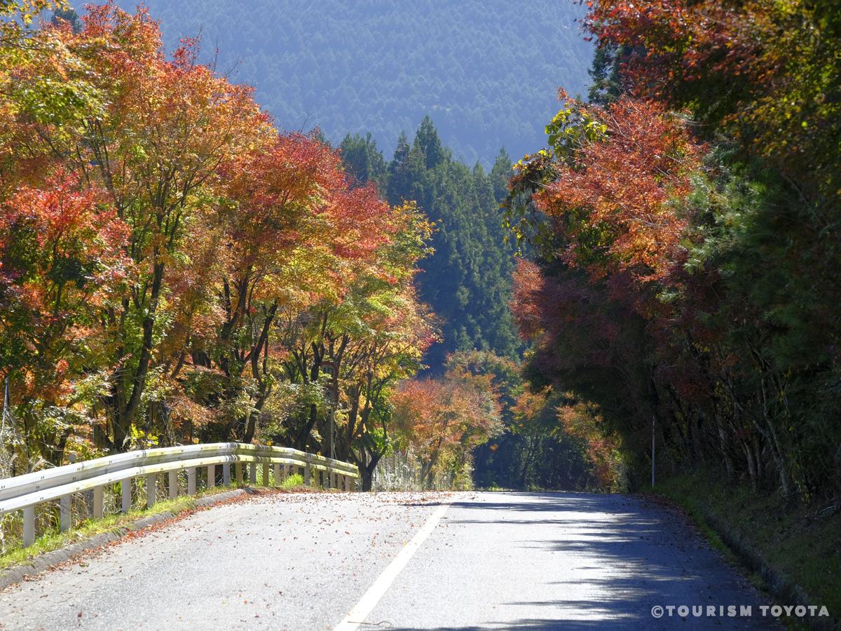 Maple Leaves Road (Momiji Kaido)