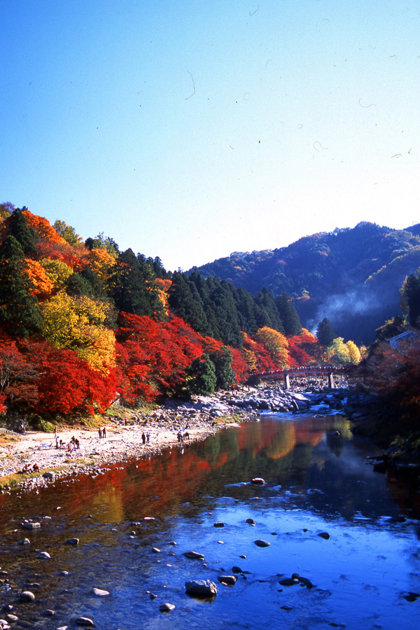 红叶与温泉之旅