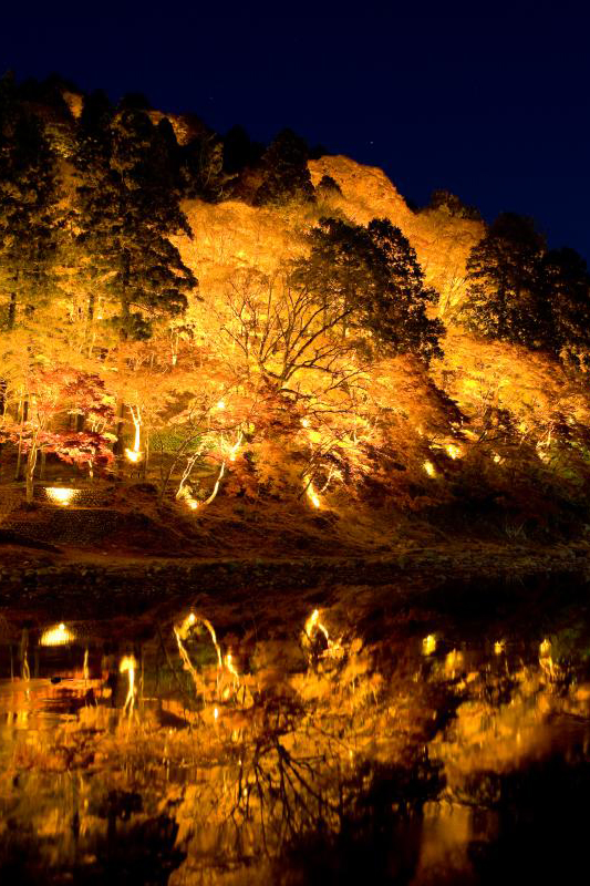 Korankei Momiji Maple Leaves Illumination