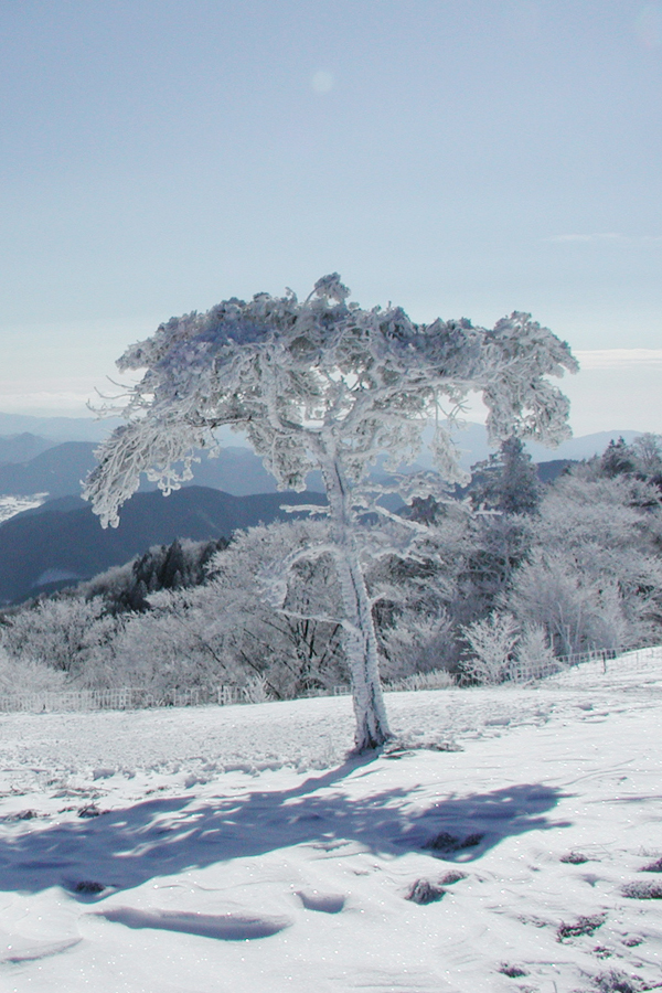 夢幻冰雪世界與滿天星光的冬季浪漫之旅