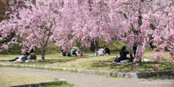 ピンクや赤、春色満載！女子力アップコース