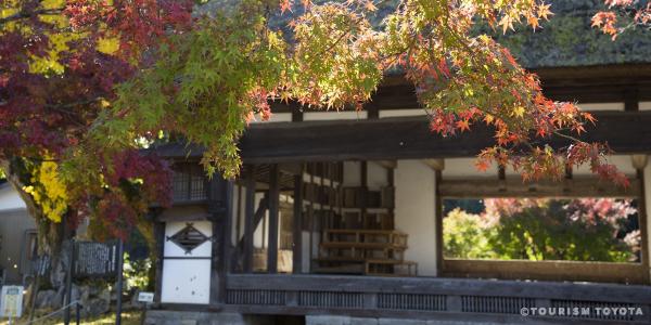 SNSで自慢したくなる！秋の絶景満喫コース