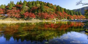 足助エリア