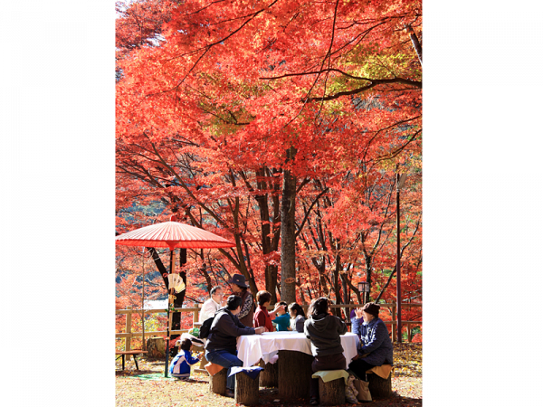 笹戶温泉野山藥・紅葉節