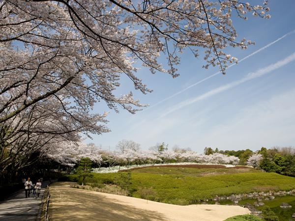 ศูนย์ส่งเสริมการปลูกต้นไม้จังหวัดไอจิ (Aichi Greenery Center)