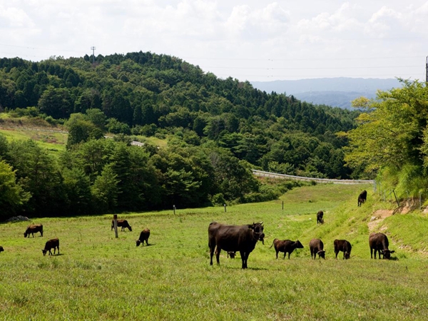 旭高原元氣村