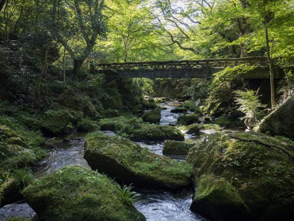 Otaki Gorge