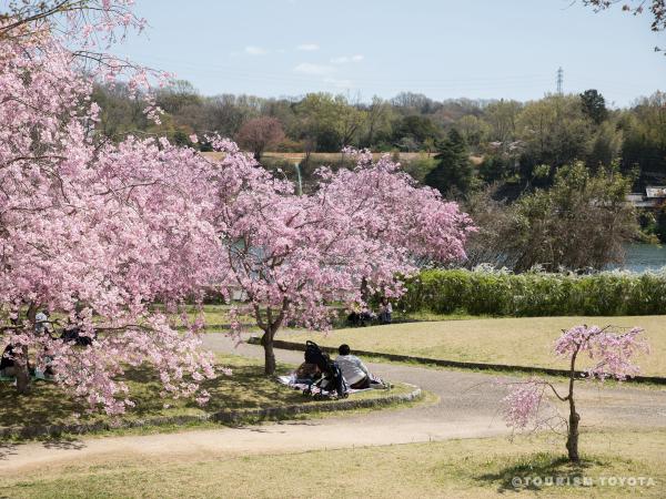 水源公園
