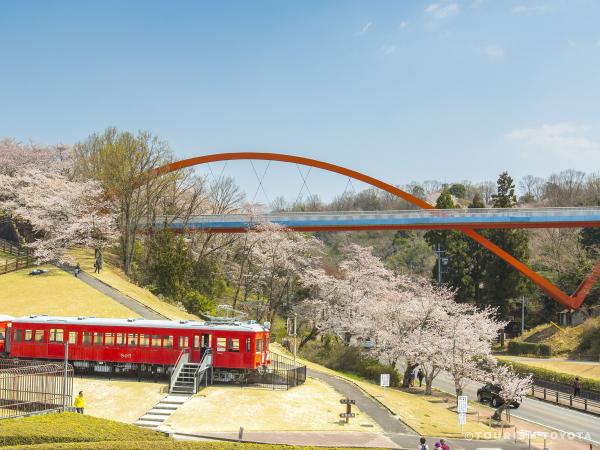 鞍ケ池公園