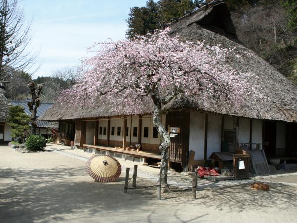 บ้านโบราณซันชูอาสึเกะ