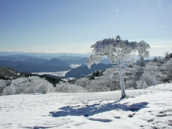 面ノ木園地の樹氷