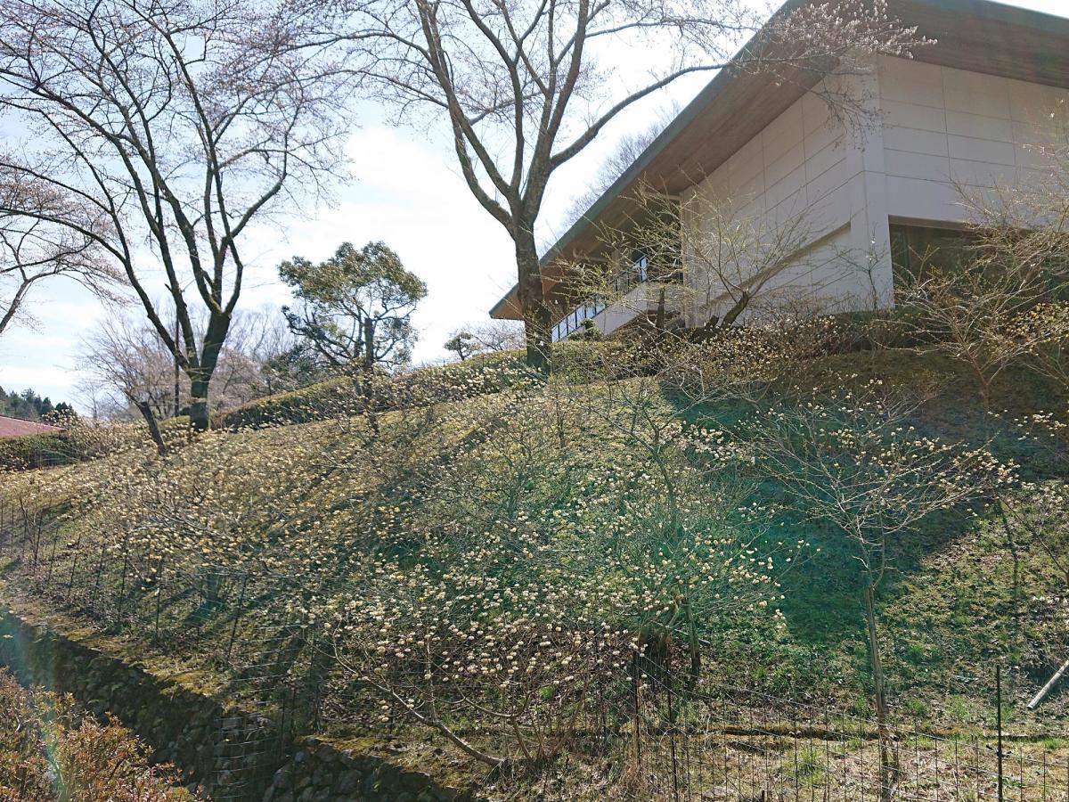 和紙工芸体験館