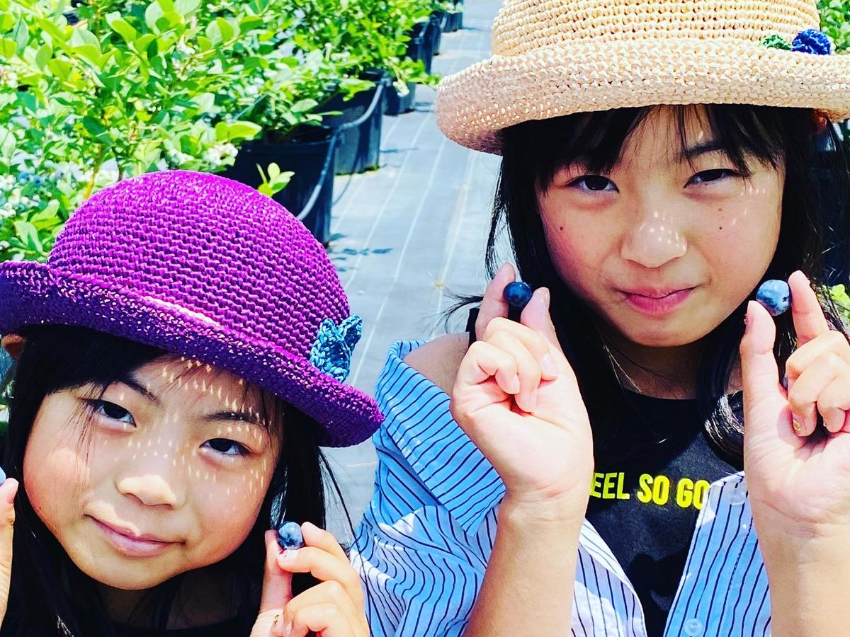 フフラ ベリーガーデン　ブルーベリー狩り