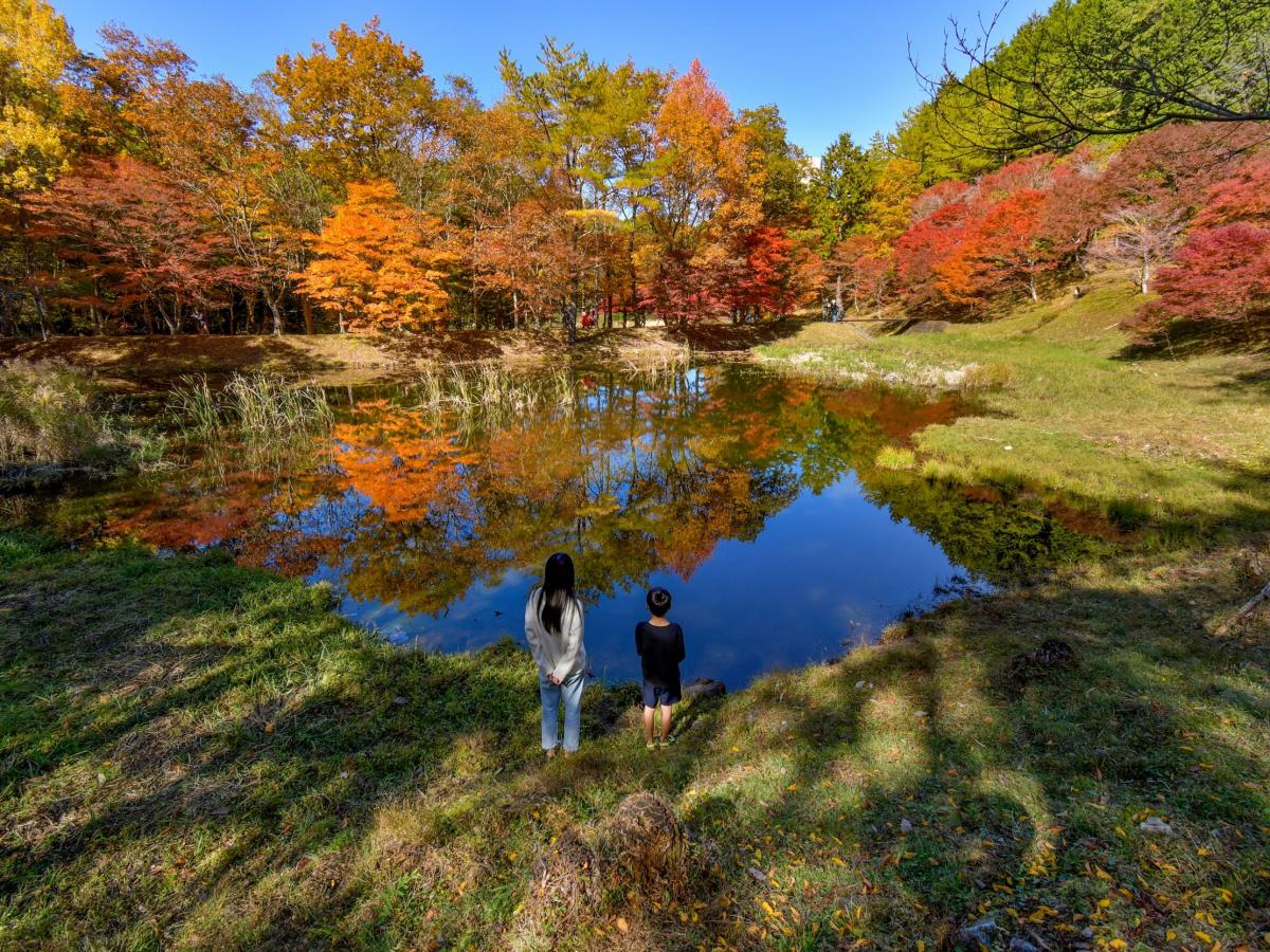 タカドヤ湿地