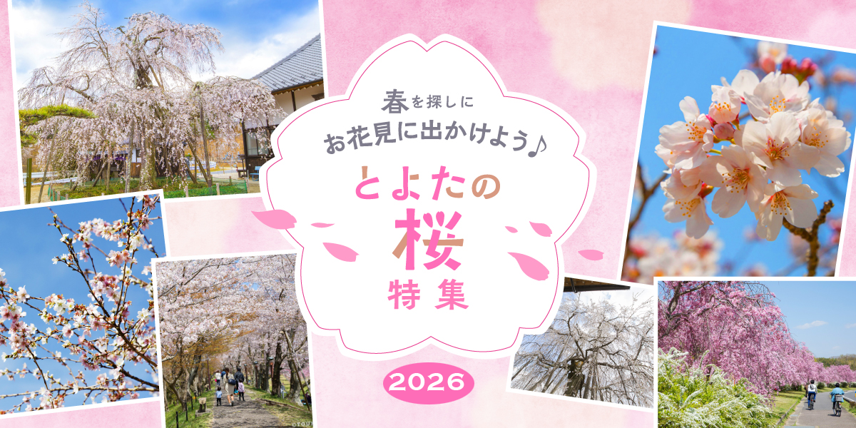 春を探しに出かけよう♪ とよたの桜特集