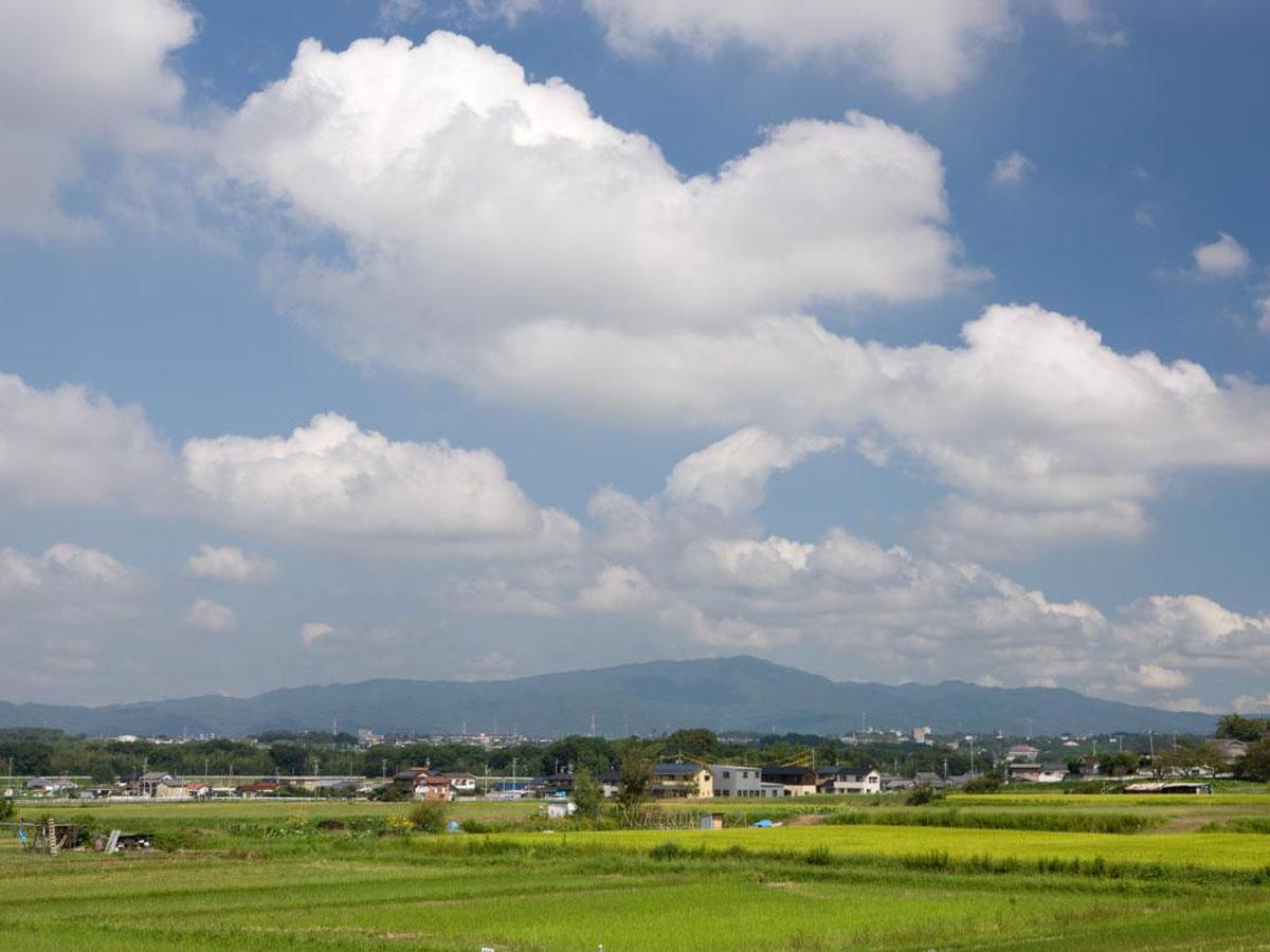 Mt. Sanage