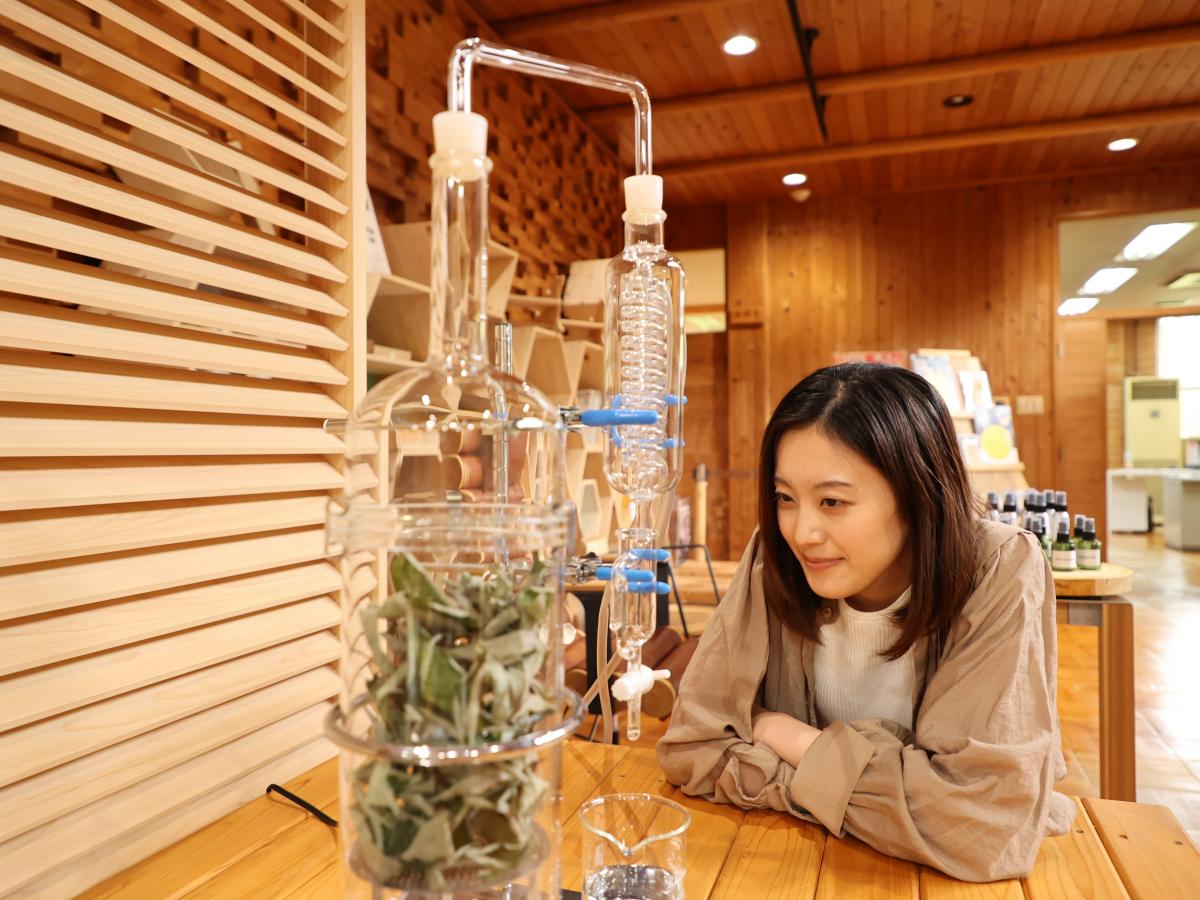 ウッディーラー豊田