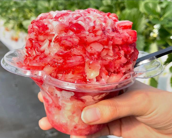 うめこう桃梨苺園