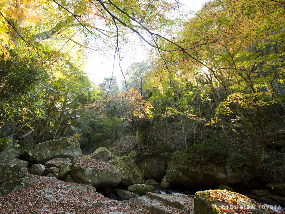 Otaki Gorge