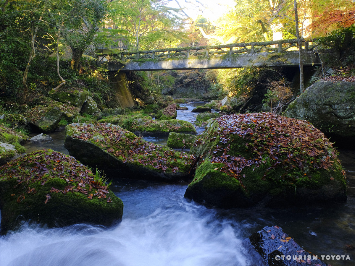 Otaki Gorge
