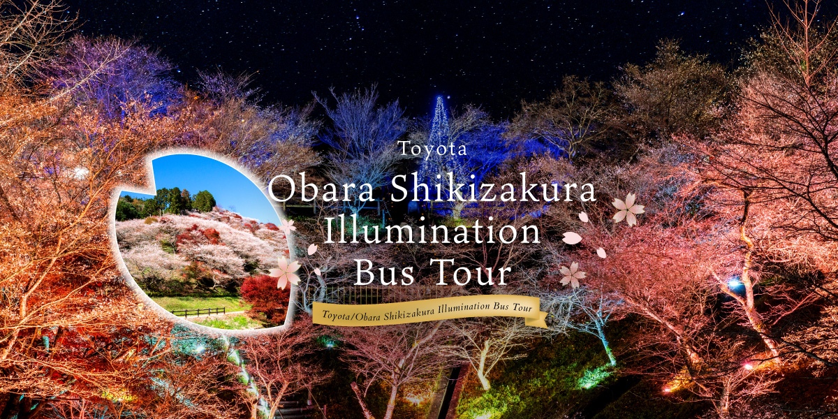 Toyota/Obara Shikizakura Illumination Bus Tour