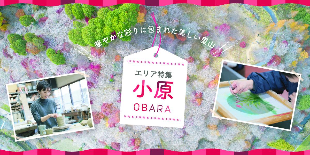 華やかな彩りに包まれた美しい里山　小原エリア特集