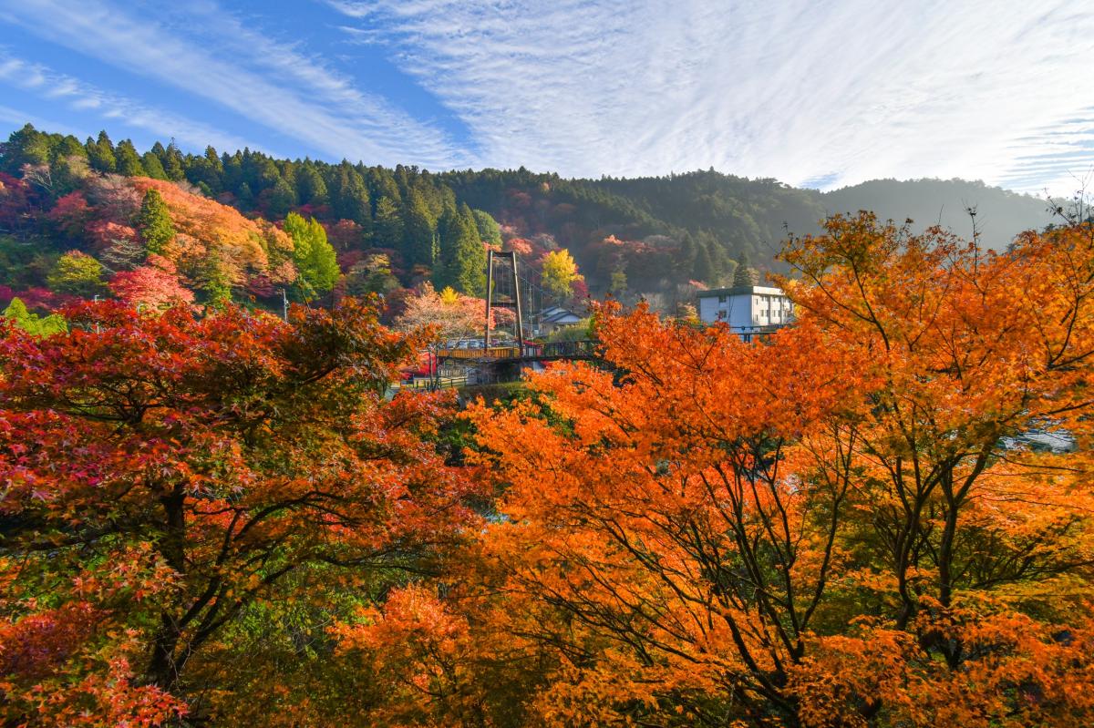 稲武もみじまつり