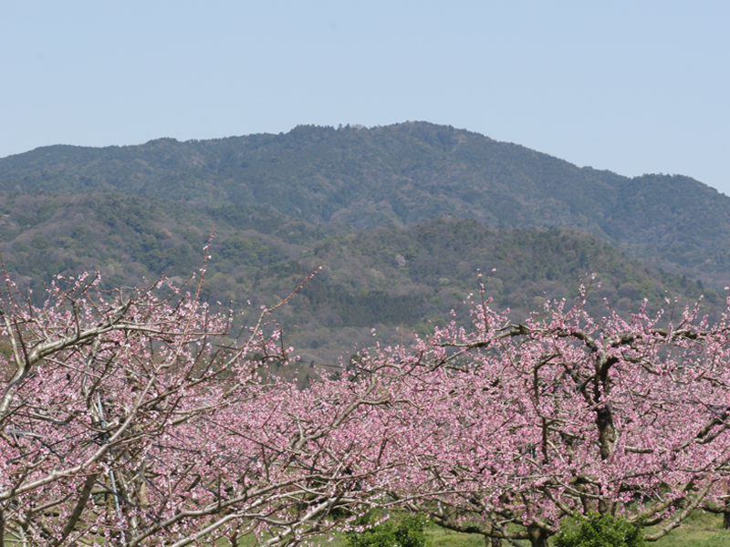 Mt. Sanage