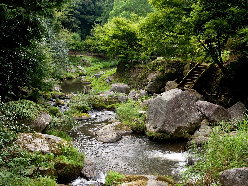 Otaki Gorge