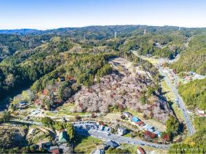 小原四季桜まつり