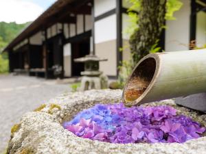 ザ ニンジャ マンション