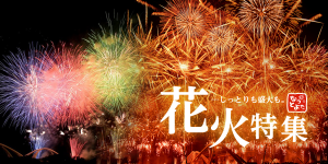 豊田の花火特集