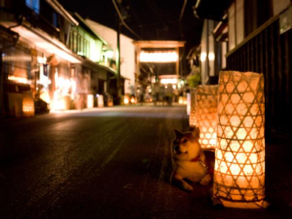 Asuke Summer Festival