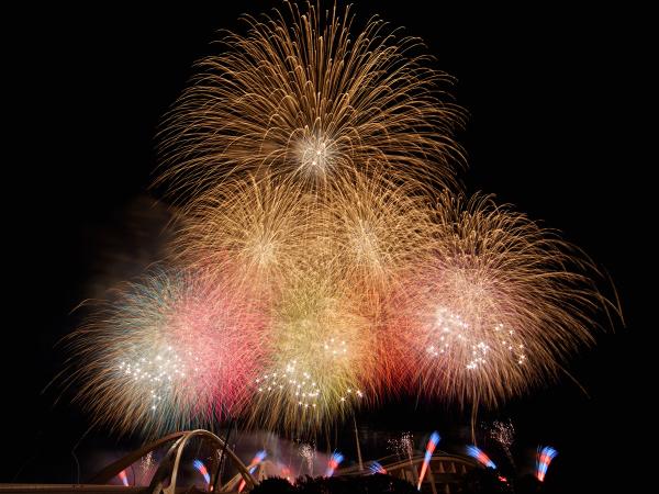 Toyota Oiden Festival