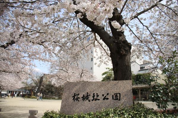 桜城址公園