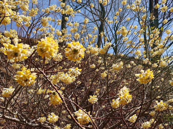 和紙工芸体験館