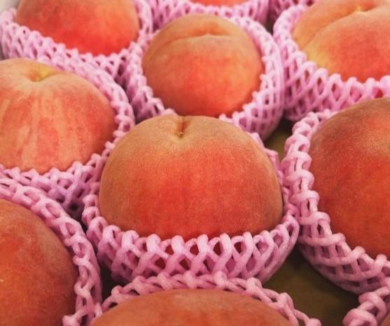 うめこう桃梨苺園