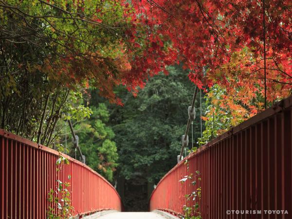 Otaki Gorge Maple Festival