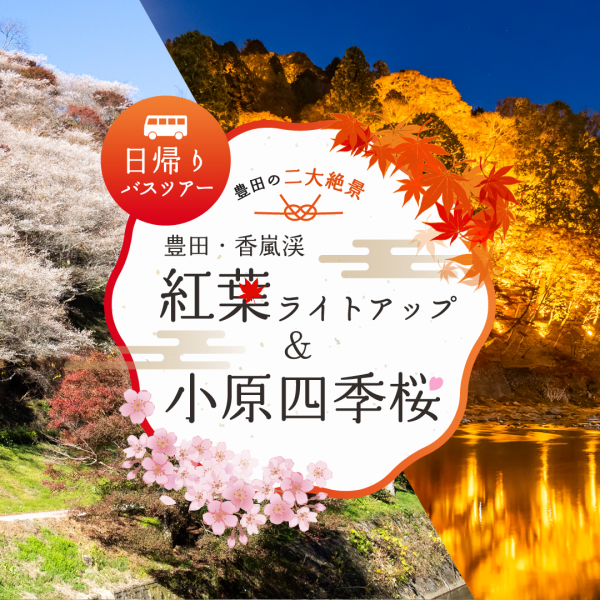 豊田・香嵐渓紅葉ライトアップ&amp;小原四季桜　日帰りバスツアー