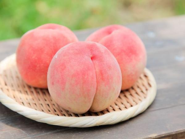 はっぴー農産・はっぴーバウム